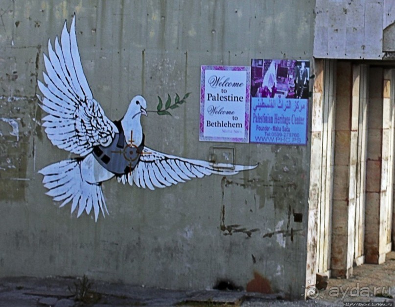 Альбом отзыва "За стеной"