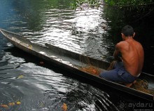 В дельте Ориноко