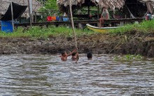 В дельте Ориноко