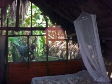 В дельте Ориноко