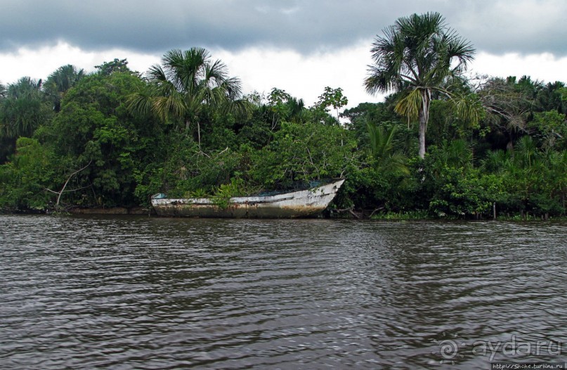 В дельте Ориноко