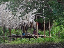 В дельте Ориноко