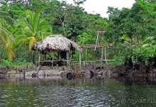 В дельте Ориноко