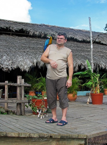 В дельте Ориноко