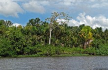 В дельте Ориноко