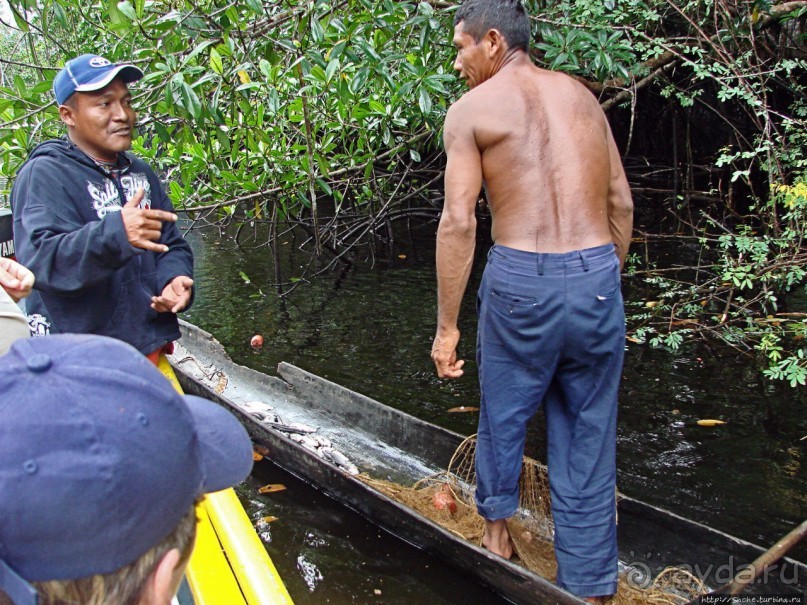 В дельте Ориноко