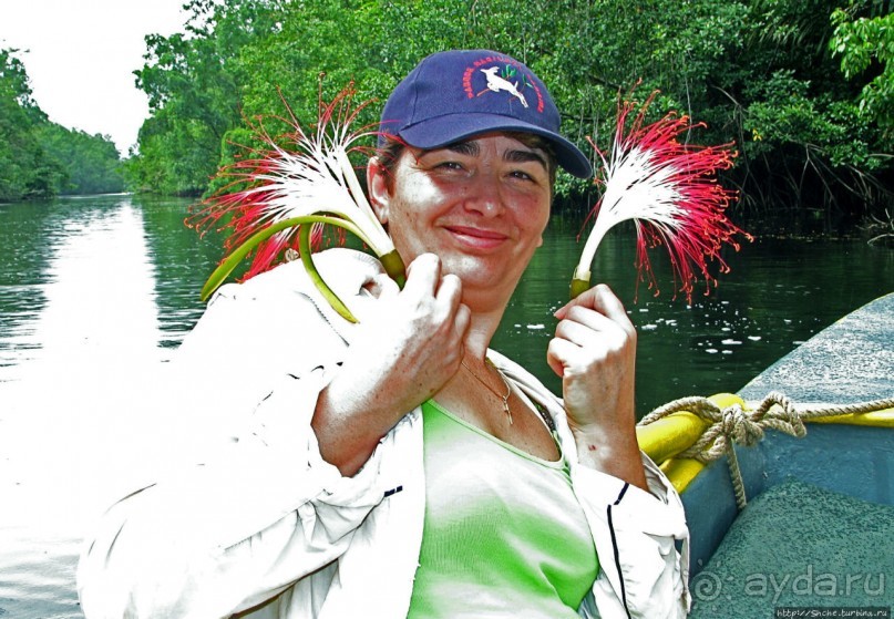 В дельте Ориноко