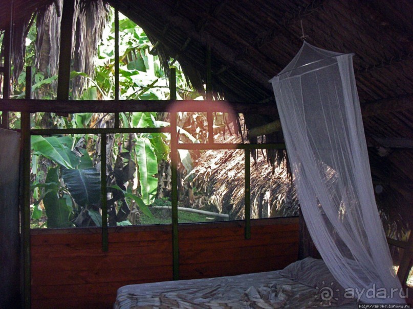 В дельте Ориноко