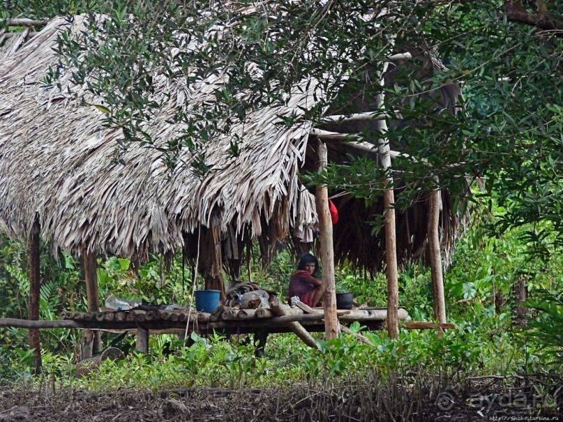 В дельте Ориноко