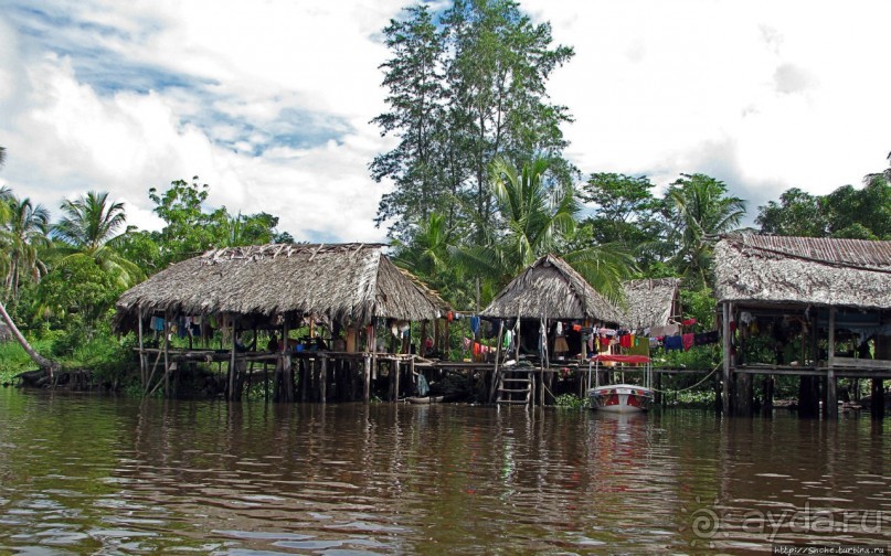 В дельте Ориноко