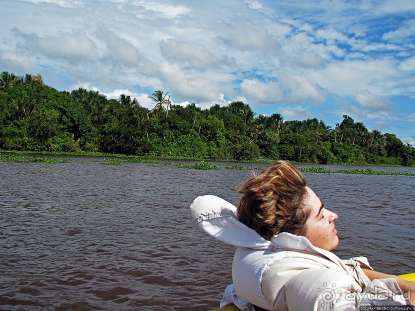 В дельте Ориноко