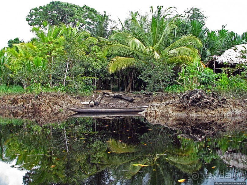 В дельте Ориноко
