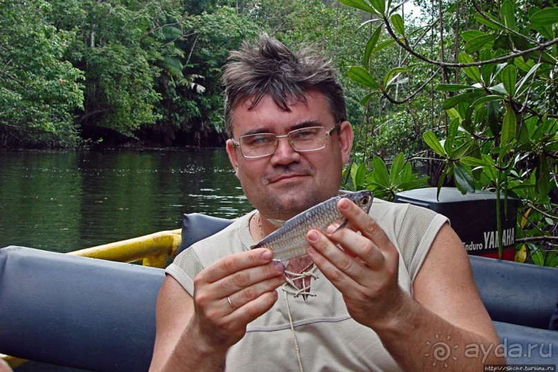 В дельте Ориноко