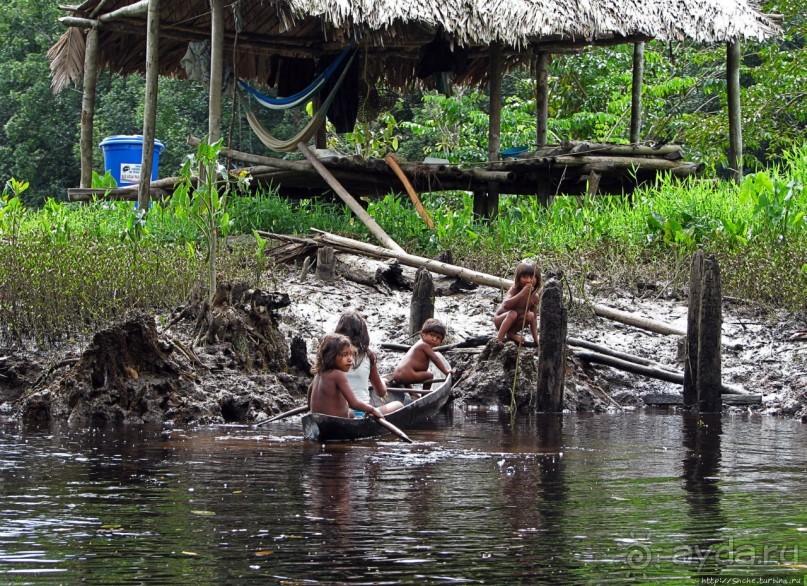 В дельте Ориноко