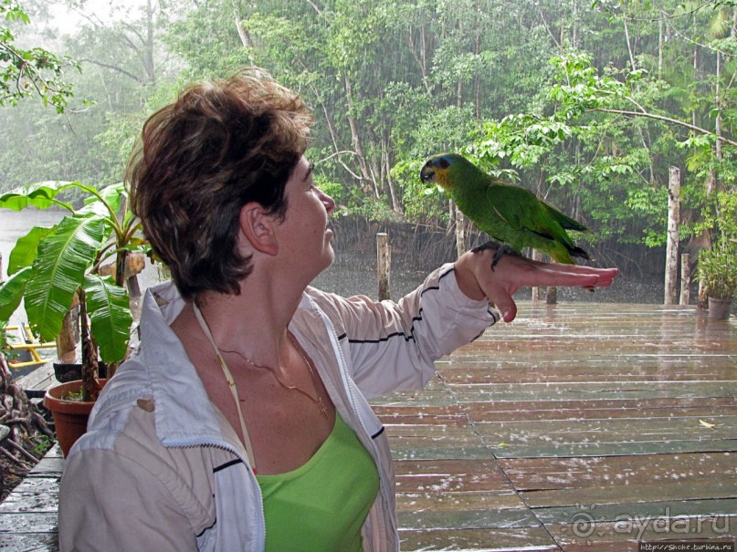 В дельте Ориноко