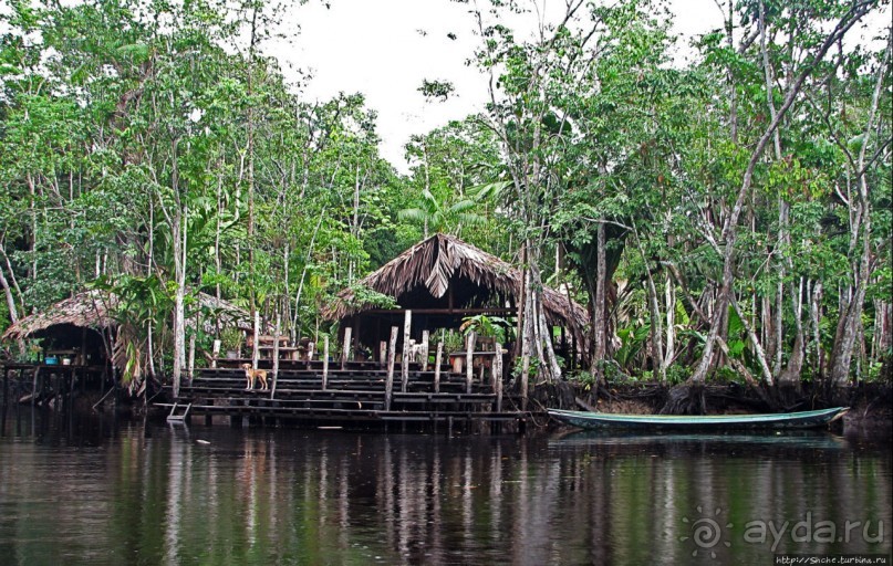 В дельте Ориноко