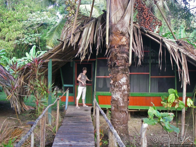 В дельте Ориноко