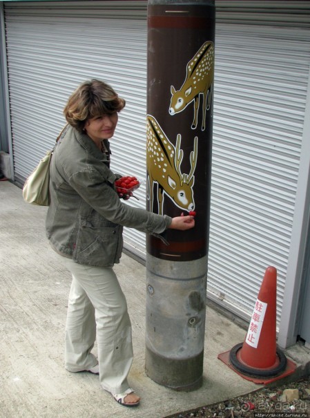 Нара — современный макияж на морщинистом лице старой столицы