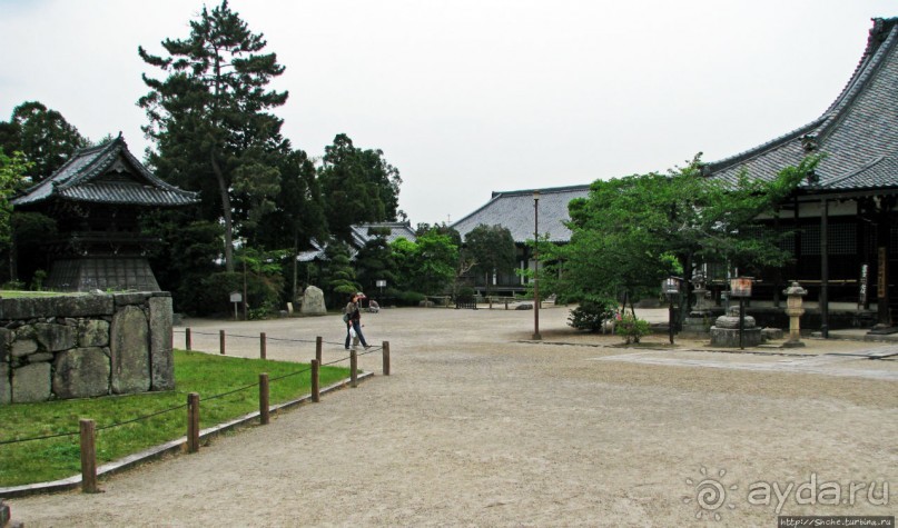 Нара — современный макияж на морщинистом лице старой столицы