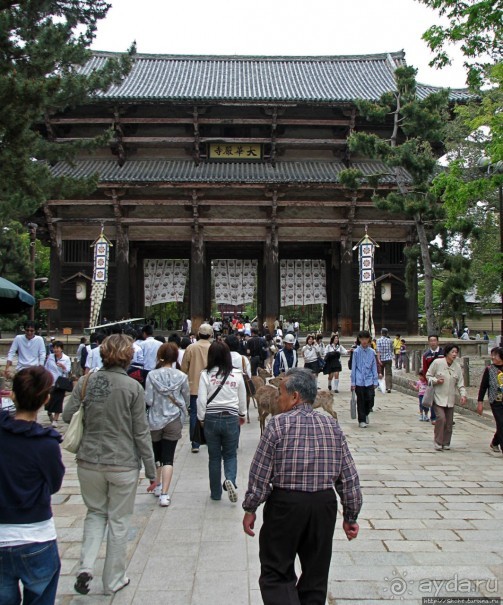 Нара — современный макияж на морщинистом лице старой столицы