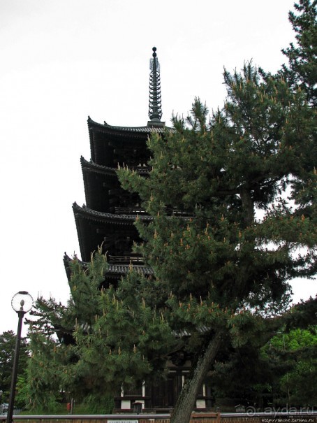 Нара — современный макияж на морщинистом лице старой столицы