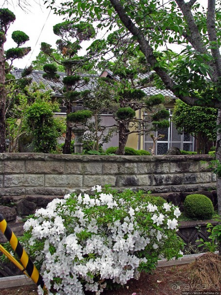 Нара — современный макияж на морщинистом лице старой столицы