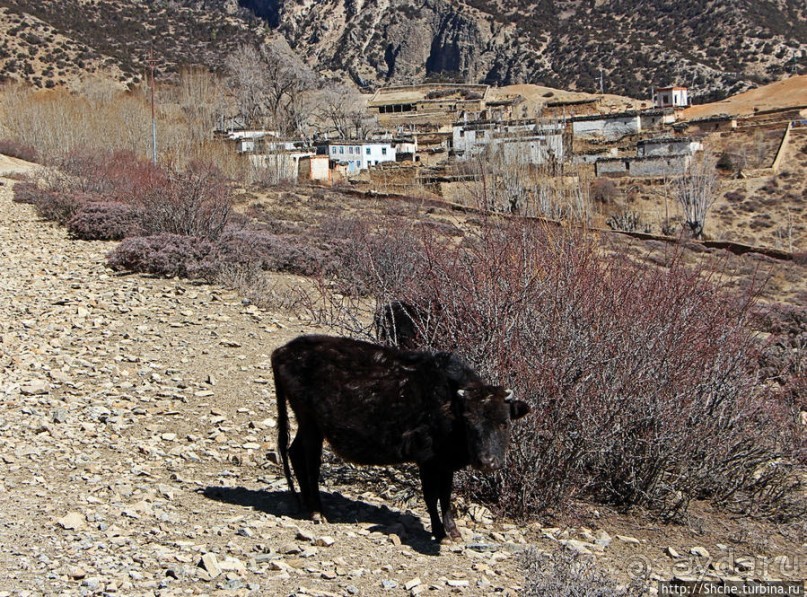 Мустанг, день второй. Набор высоты