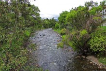 Rio Tomebamba — "городок наш разделяет река"