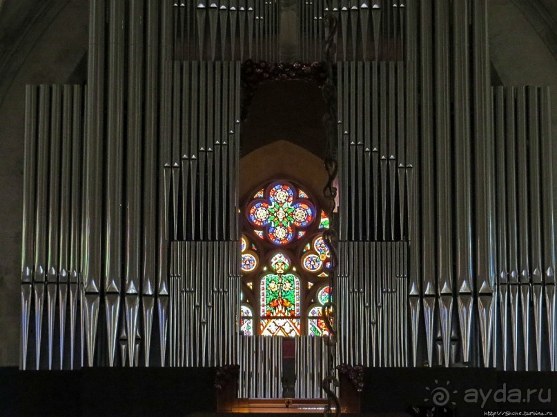 Изюминки кафедрального собора св. Мартина в Братиславе