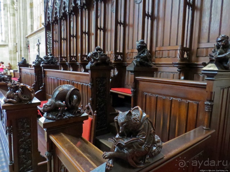 Изюминки кафедрального собора св. Мартина в Братиславе