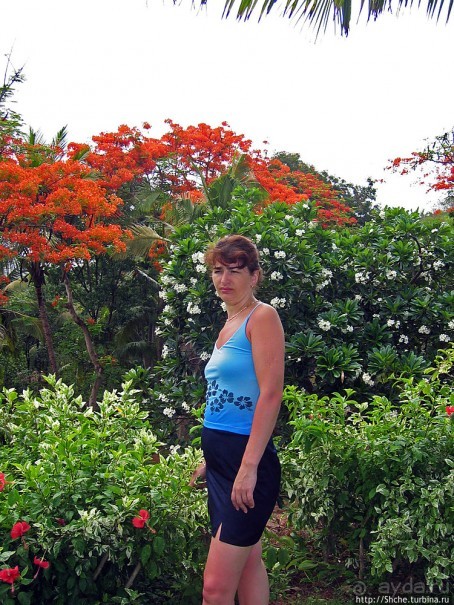 Португальский форт Агуада на Гоа