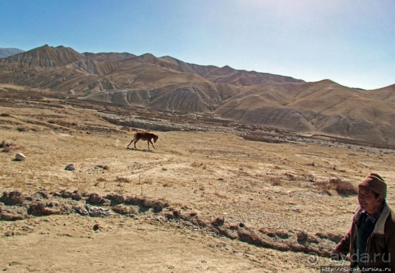 Верхом по Верхнему Мустангу