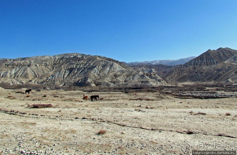 Верхом по Верхнему Мустангу