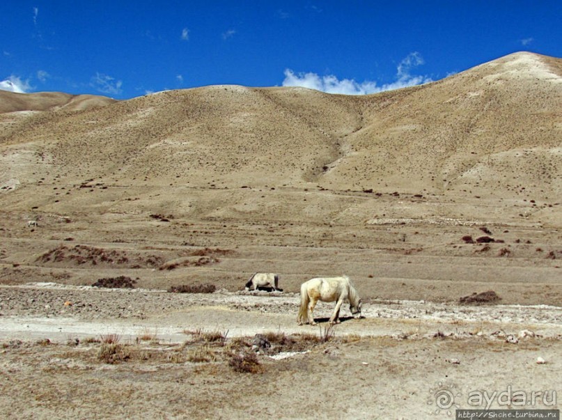 Верхом по Верхнему Мустангу Верхом по Верхнему Мустангу