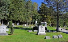 Альбом отзыва "В гостях у Радуги. Прогулка по кладбищу"