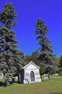 Альбом отзыва "В гостях у Радуги. Прогулка по кладбищу"