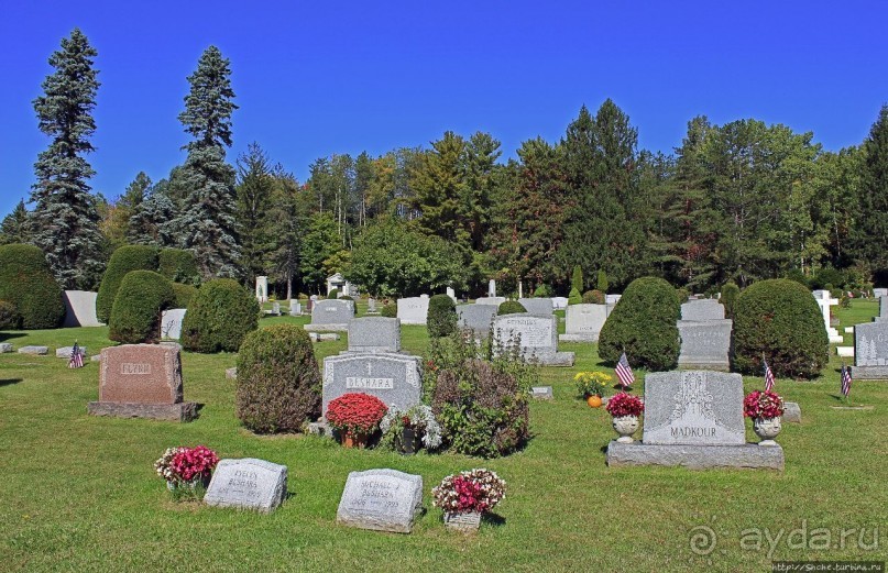 Альбом отзыва "В гостях у Радуги. Прогулка по кладбищу"