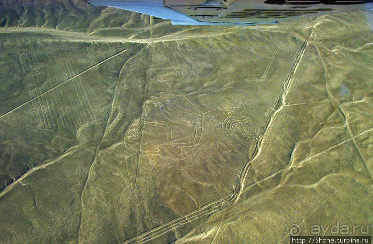 Одна из тайн нашей планеты — линии Наска с земли и воздуха