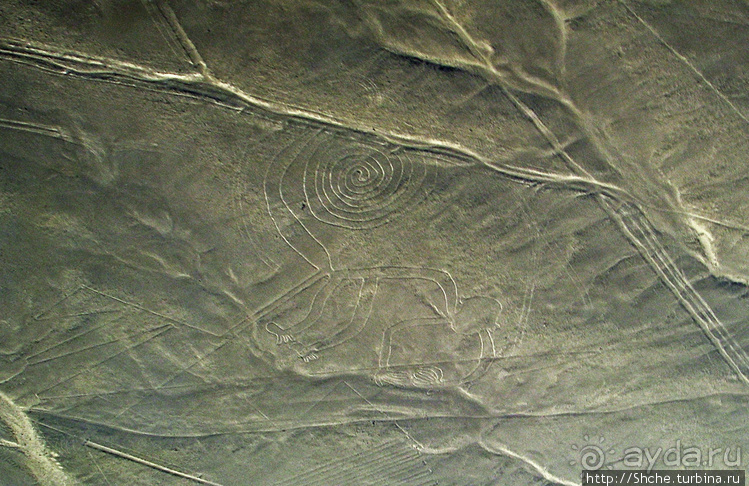 Одна из тайн нашей планеты — линии Наска с земли и воздуха