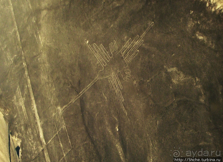 Одна из тайн нашей планеты — линии Наска с земли и воздуха