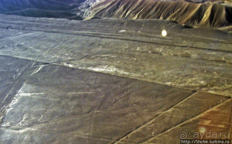 Одна из тайн нашей планеты — линии Наска с земли и воздуха