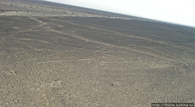 Одна из тайн нашей планеты — линии Наска с земли и воздуха