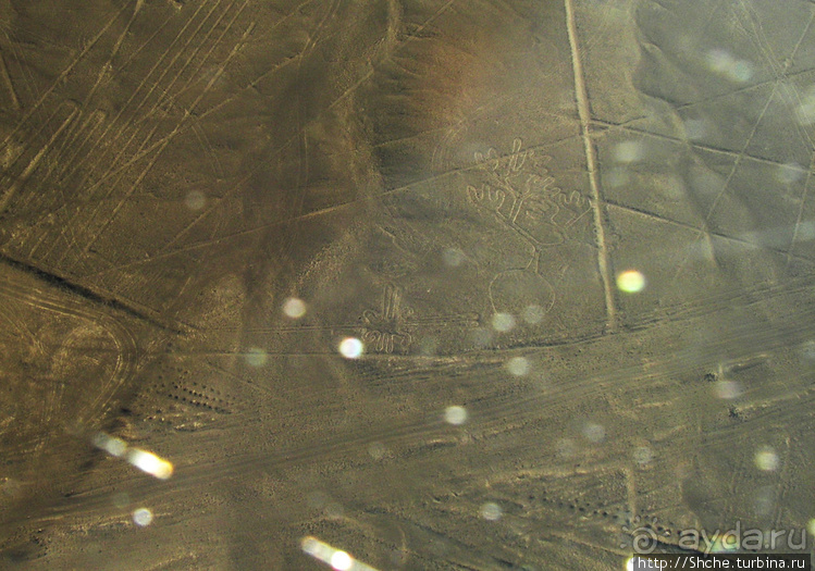 Одна из тайн нашей планеты — линии Наска с земли и воздуха