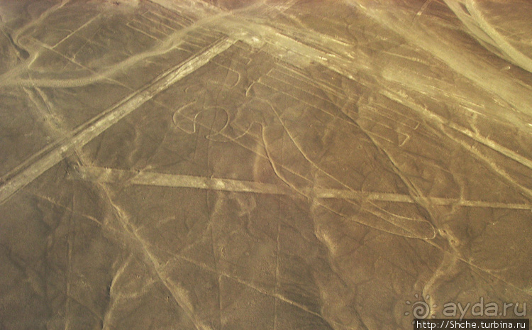 Одна из тайн нашей планеты — линии Наска с земли и воздуха