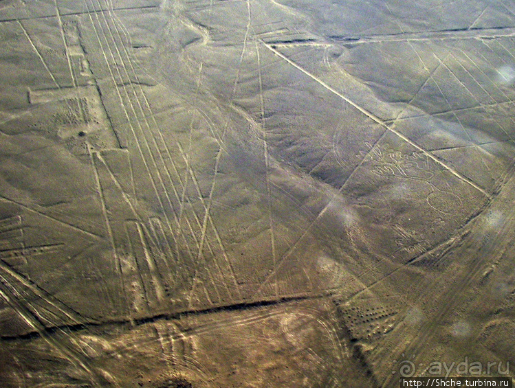 Одна из тайн нашей планеты — линии Наска с земли и воздуха