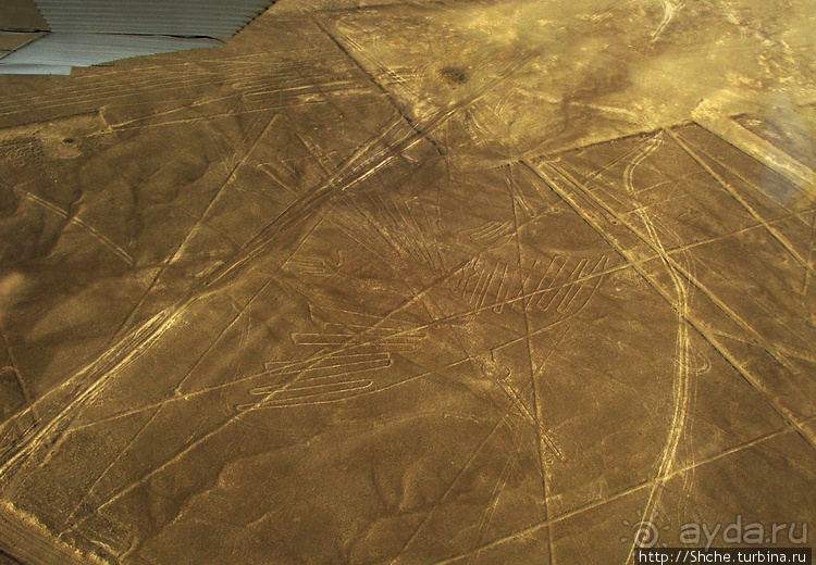 Одна из тайн нашей планеты — линии Наска с земли и воздуха