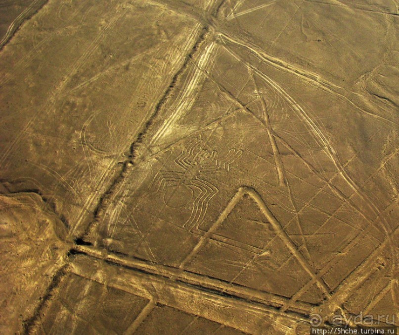Одна из тайн нашей планеты — линии Наска с земли и воздуха