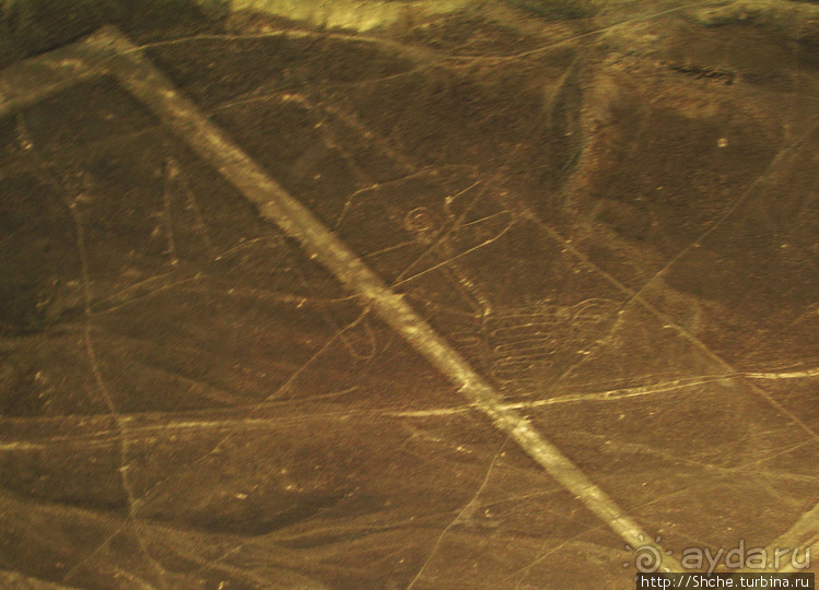 Одна из тайн нашей планеты — линии Наска с земли и воздуха