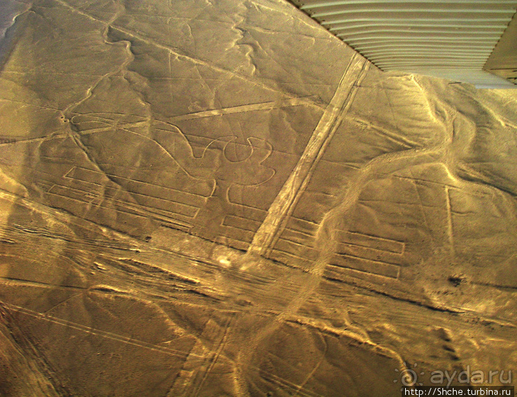 Одна из тайн нашей планеты — линии Наска с земли и воздуха