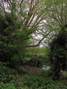 Уитни — историческое наследие Англии